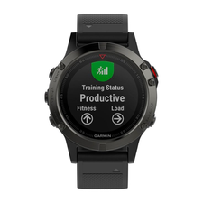 Fenix 5