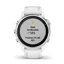 Fenix 6S