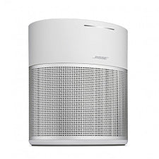SoundLink 300