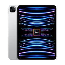 iPad Pro 11" 4th Gen