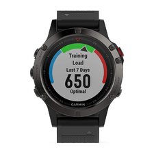 Fenix 5
