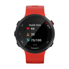 Forerunner 45